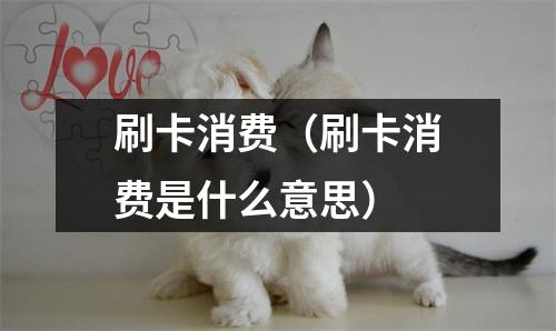 刷卡消费（刷卡消费是什么意思）