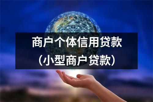 商户个体信用贷款（小型商户贷款）