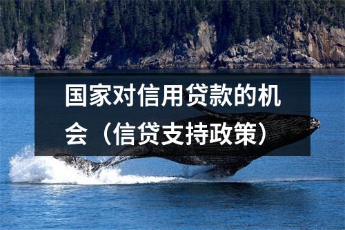 国家对信用贷款的机会（信贷支持政策）