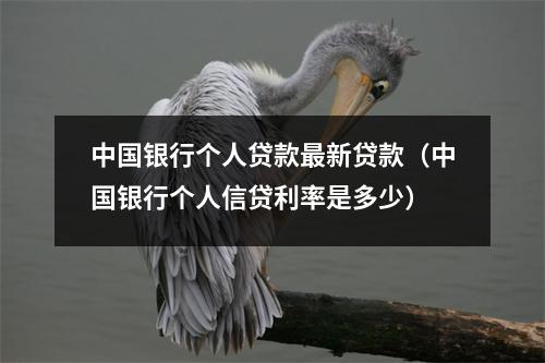 中国银行个人贷款最新贷款（中国银行个人信贷利率是多少）