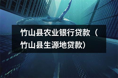 竹山县农业银行贷款（竹山县生源地贷款）