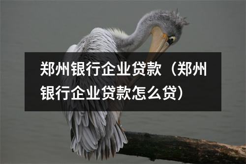 郑州银行企业贷款（郑州银行企业贷款怎么贷）