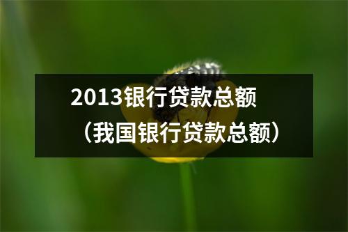2013银行贷款总额（我国银行贷款总额）
