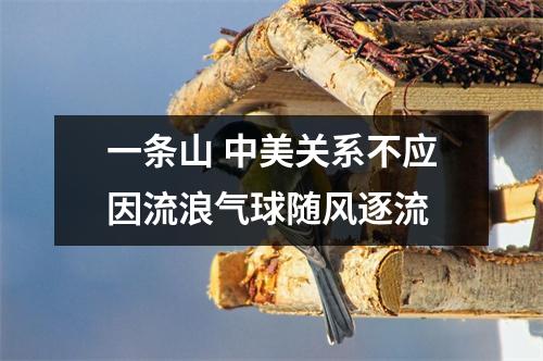 一条山 中美关系不应因流浪气球随风逐流