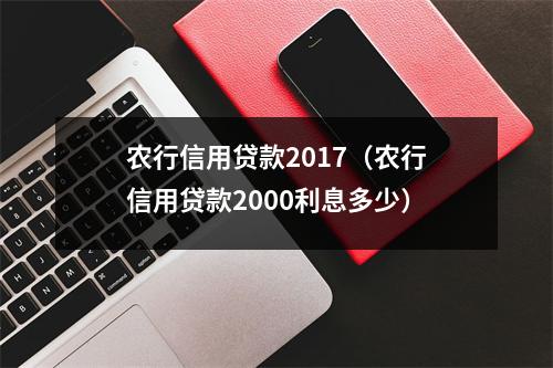 农行信用贷款2017（农行信用贷款2000利息多少）