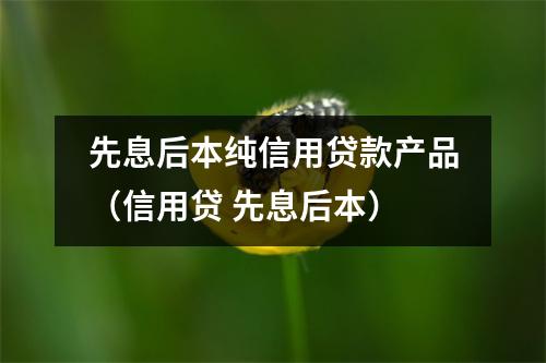 先息后本纯信用贷款产品（信用贷 先息后本）