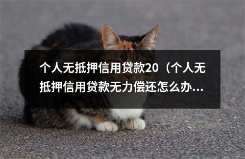 个人无抵押信用贷款20（个人无抵押信用贷款无力偿还怎么办）