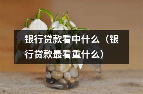 银行贷款看中什么（银行贷款最看重什么）
