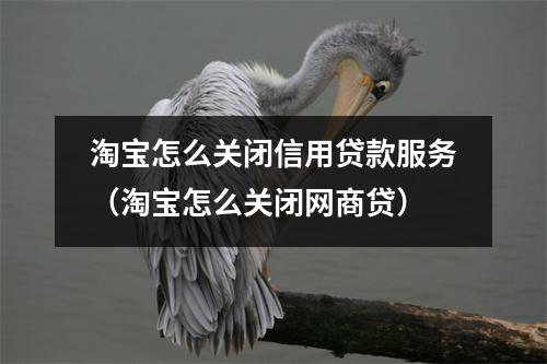 淘宝怎么关闭信用贷款服务（淘宝怎么关闭网商贷）