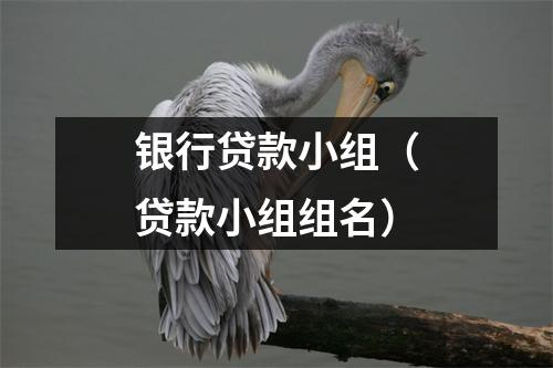 银行贷款小组(贷款小组组名)