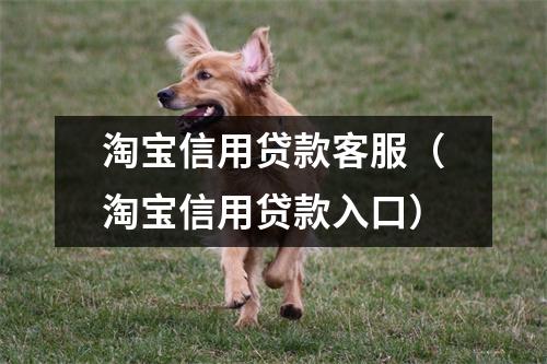 淘宝信用贷款客服(淘宝信用贷款入口)