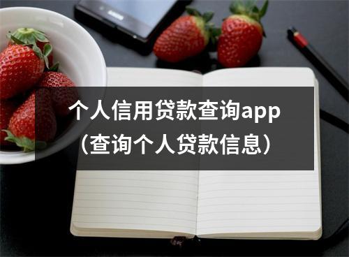 个人信用贷款查询app(查询个人贷款信息)