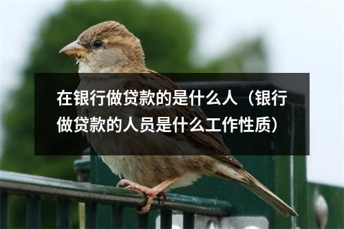 在银行做贷款的是什么人(银行做贷款的人员是什么工作性质)