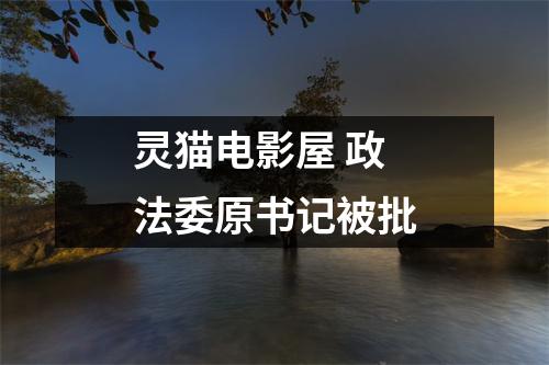 灵猫电影屋 政法委原书记被批