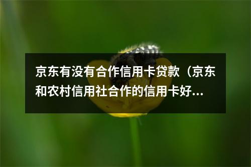 京东有没有合作信用卡贷款（京东和农村信用社合作的信用卡好下卡吗）