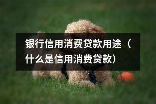 银行信用消费贷款用途（什么是信用消费贷款）