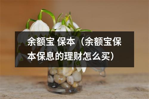 余额宝 保本（余额宝保本保息的理财怎么买）