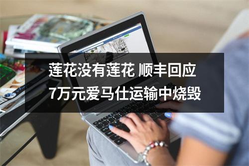 莲花没有莲花 顺丰回应7万元爱马仕运输中烧毁