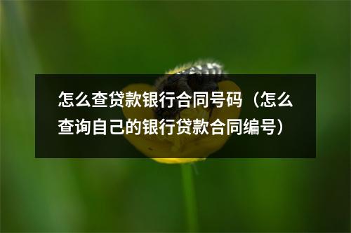 怎么查贷款银行合同号码（怎么查询自己的银行贷款合同编号）