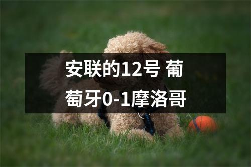 安联的12号 葡萄牙0-1摩洛哥