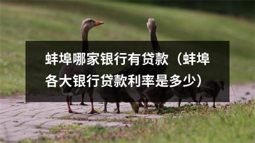 蚌埠哪家银行有贷款（蚌埠各大银行贷款利率是多少）