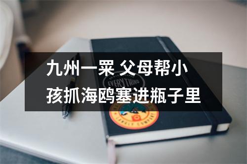 九州一䍘 父母帮小孩抓海鸥塞进瓶子里