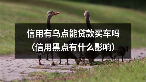 信用有乌点能贷款买车吗（信用黑点有什么影响）
