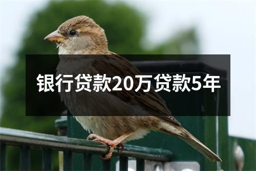 银行贷款20万贷款5年
