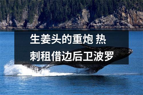 生姜头的重炮 热刺租借边后卫波罗