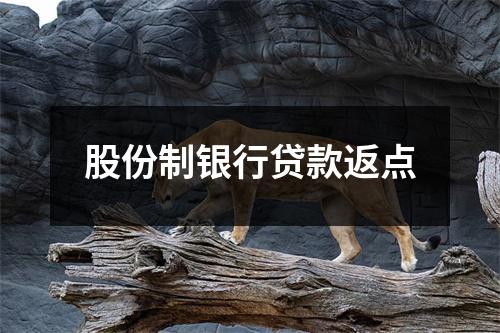 股份制银行贷款返点