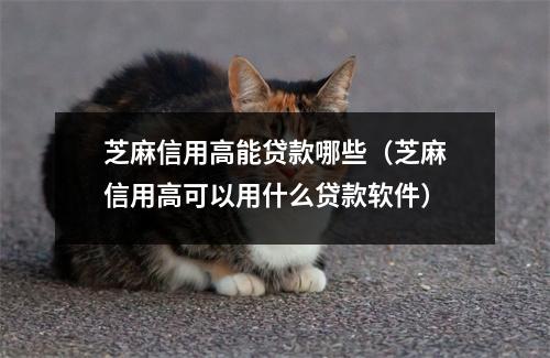 芝麻信用高能贷款哪些（芝麻信用高可以用什么贷款软件）