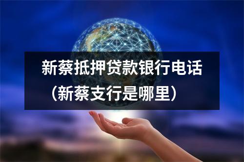 新蔡抵押贷款银行电话(新蔡支行是哪里)
