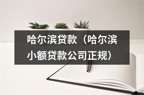 哈尔滨贷款（哈尔滨小额贷款公司正规）