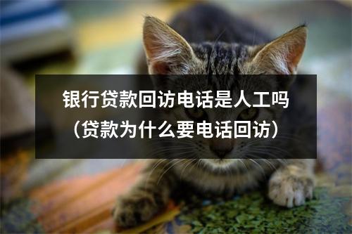 银行贷款回访电话是人工吗（贷款为什么要电话回访）