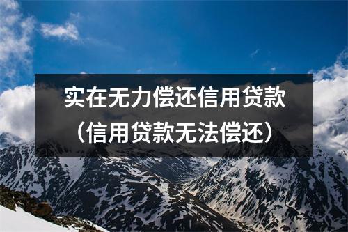 实在无力偿还信用贷款（信用贷款无法偿还）