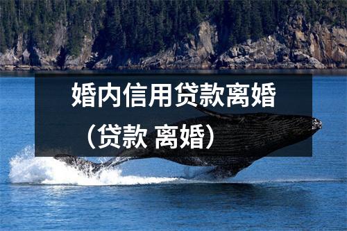 婚内信用贷款离婚（贷款 离婚）