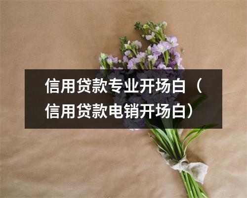 信用贷款专业开场白（信用贷款电销开场白）