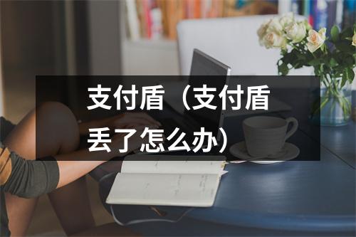 支付盾(支付盾丢了怎么办)