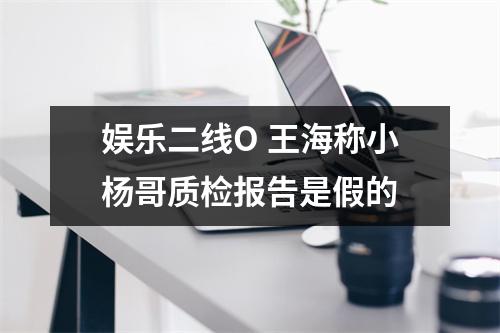 娱乐二线O 王海称小杨哥质检报告是假的