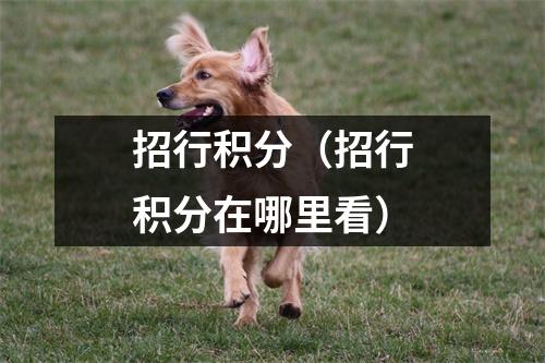 招行积分（招行积分在哪里看）