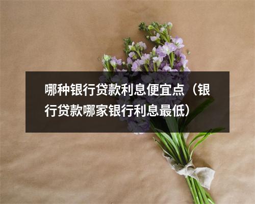 哪种银行贷款利息便宜点（银行贷款哪家银行利息最低）