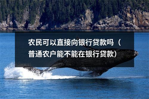 农民可以直接向银行贷款吗（普通农户能不能在银行贷款）