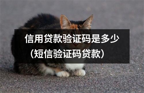 信用贷款验证码是多少（短信验证码贷款）