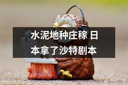 水泥地种庄稼 日本拿了沙特剧本