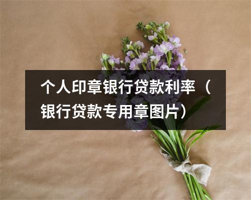 个人印章银行贷款利率（银行贷款专用章图片）