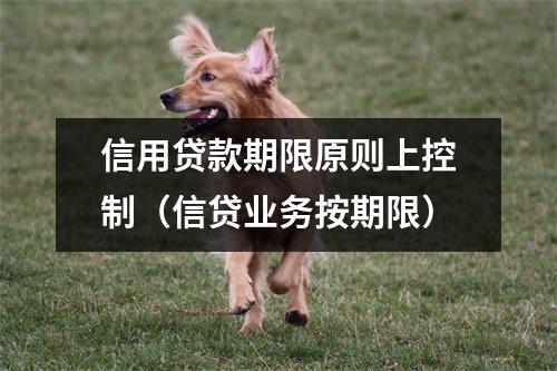 信用贷款期限原则上控制（信贷业务按期限）