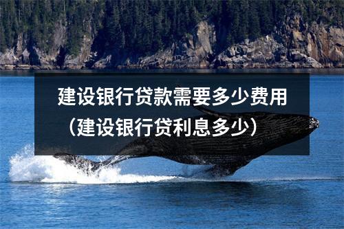 建设银行贷款需要多少费用（建设银行贷利息多少）