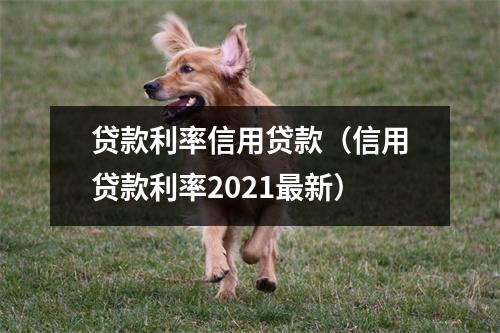 贷款利率信用贷款（信用贷款利率2021最新）