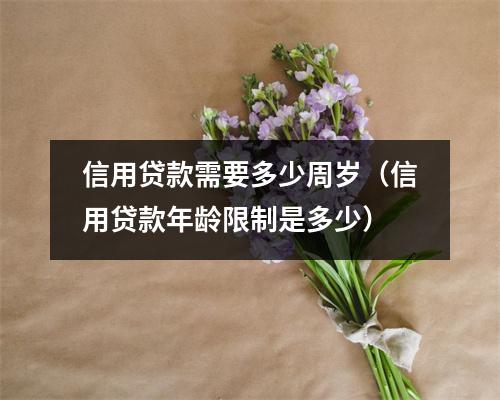 信用贷款需要多少周岁（信用贷款年龄限制是多少）