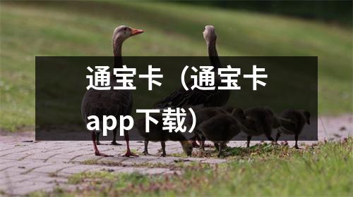 通宝卡（通宝卡app下载）